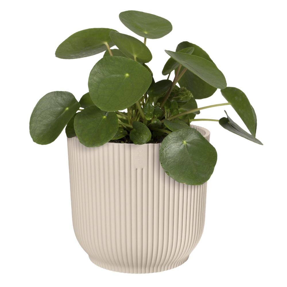 Vibes Fold Rond 25