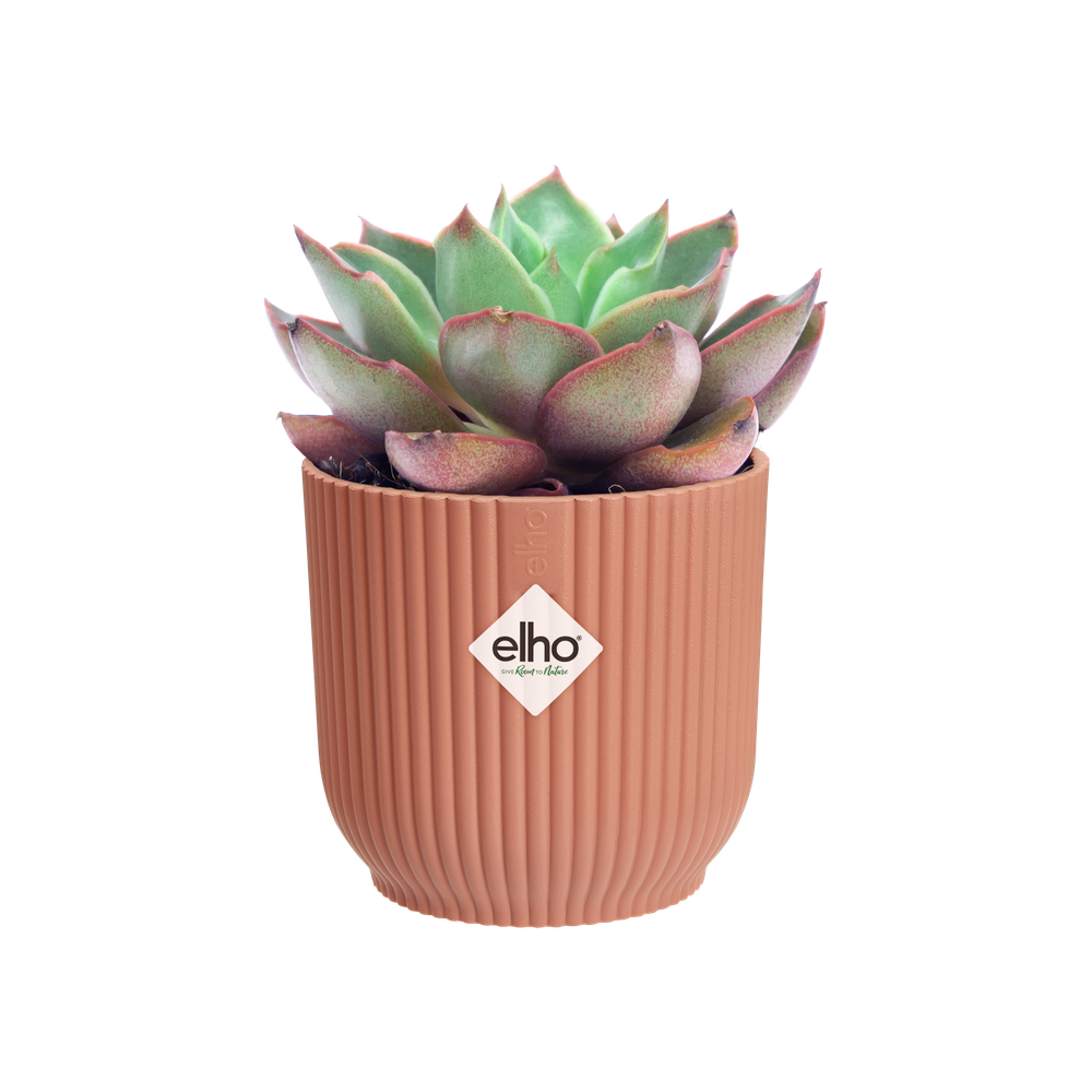 Vibes Fold Rond Mini 9