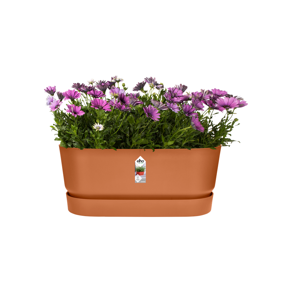 Greenville Terrase 60 Roues