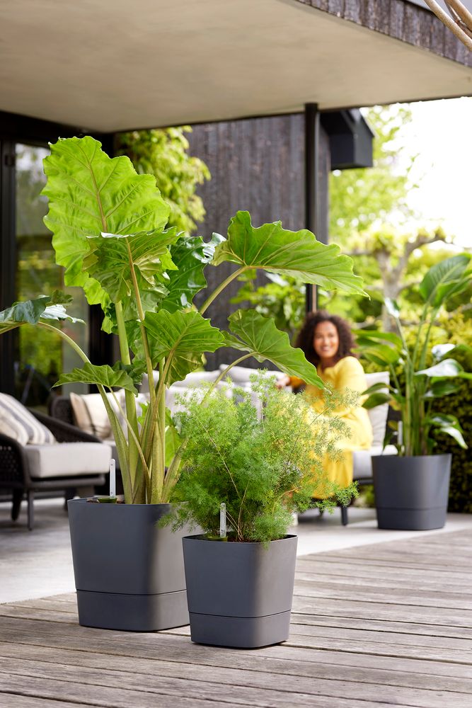 Greensense Aqua Care Carré 30