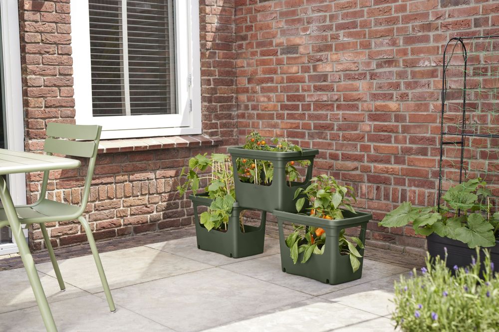 Green Basics Stack & Grow Large