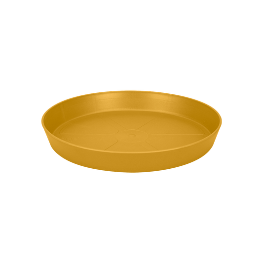 Loft Urban Soucoupe Ronde 30