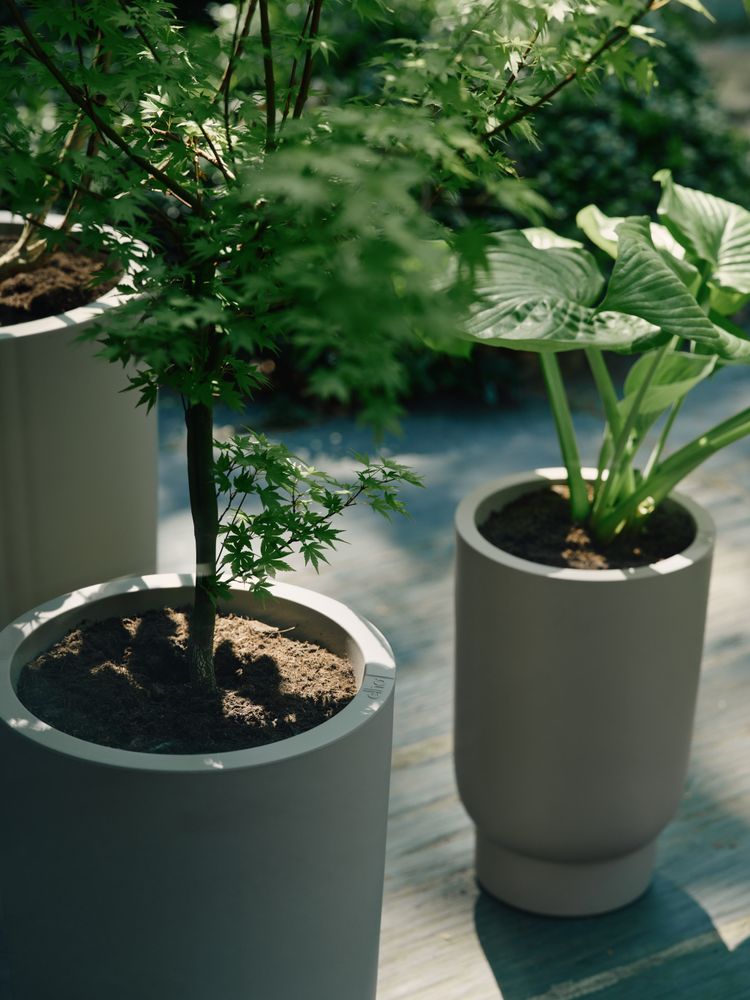 Amber Grail High 40