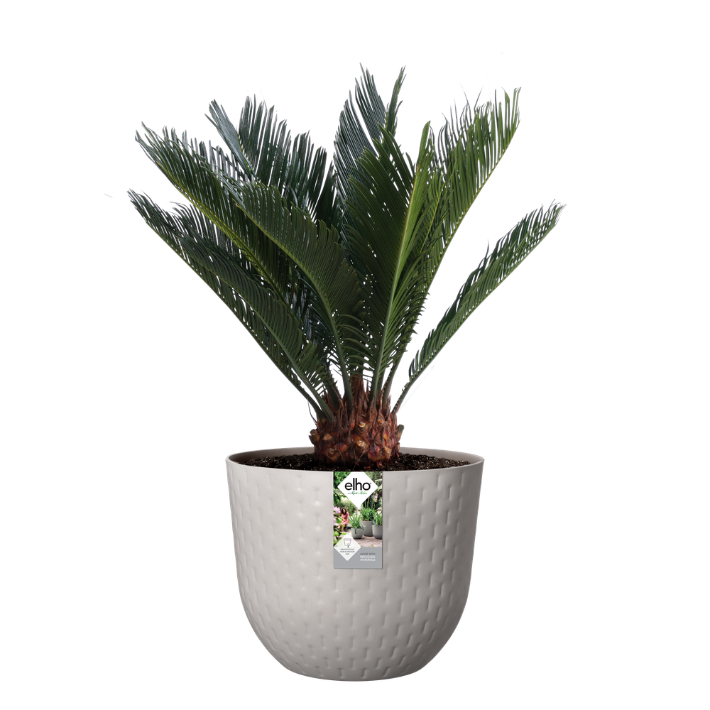 Fuente Grains Rond 47