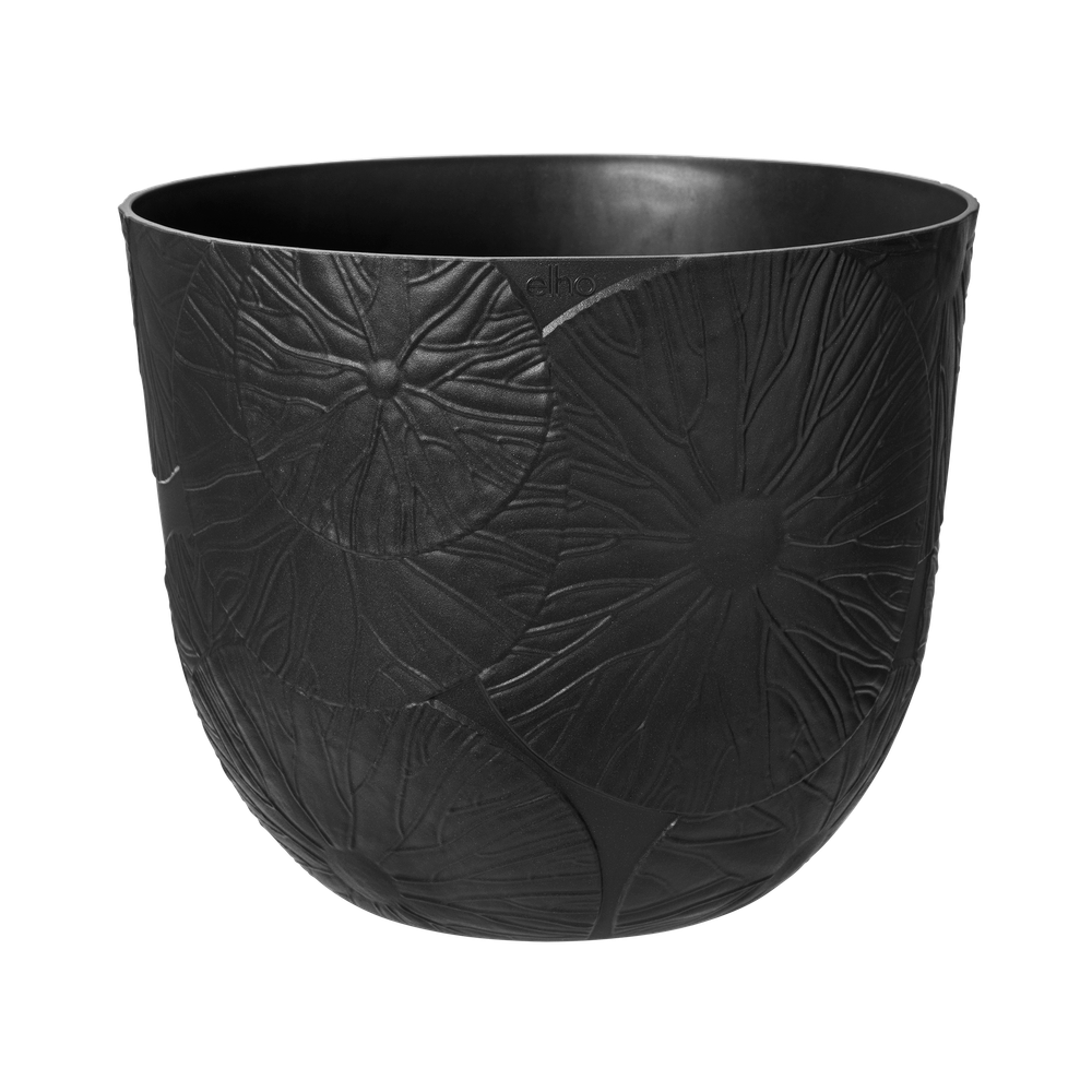 Fuente Lily Rond 47