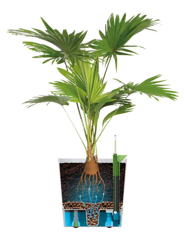 Greensense Aqua Care Carré 30