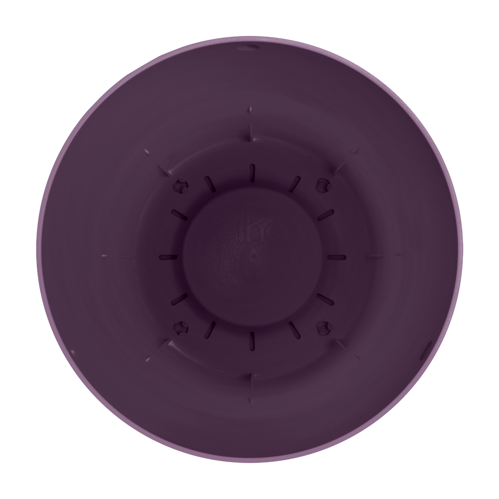 Greenville Suspension 24