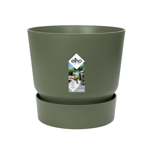 Greenville Rond 25