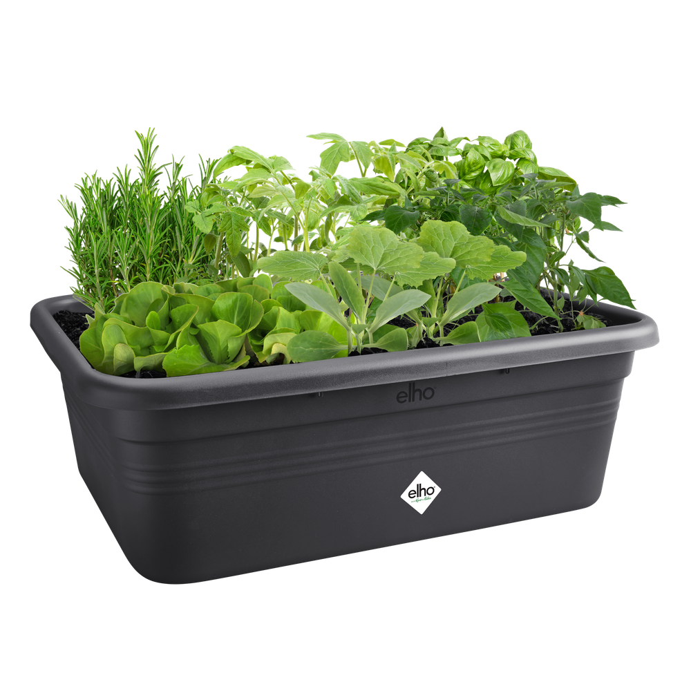 Green Basics Jardin De Culture L