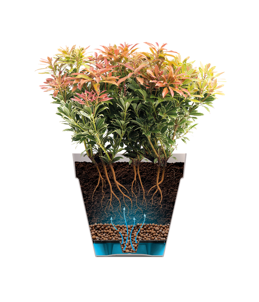Loft Urban Terrasse Roues 70