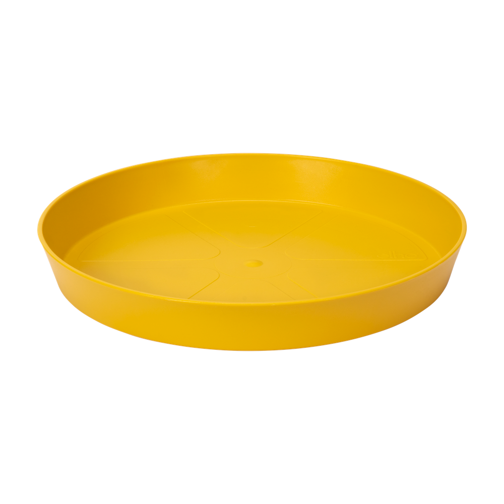 Loft Urban Soucoupe Ronde 21