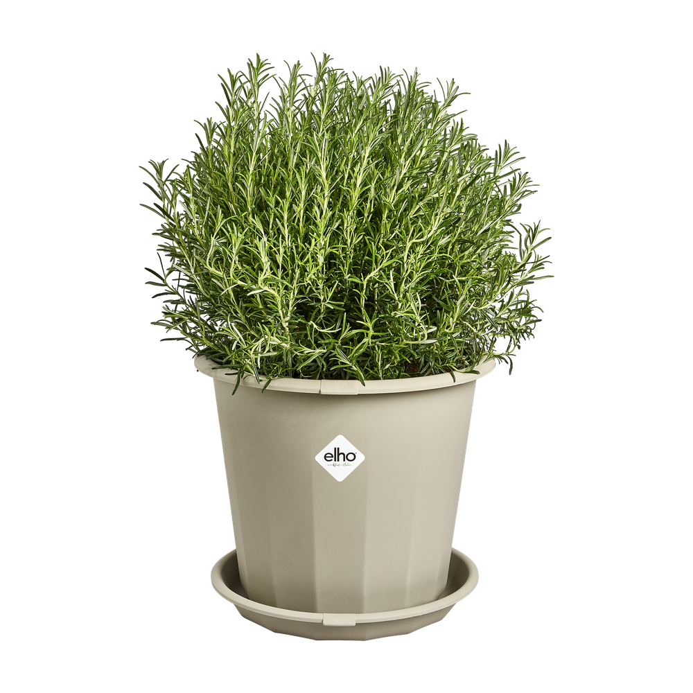 Niva Soucoupe Rond 43
