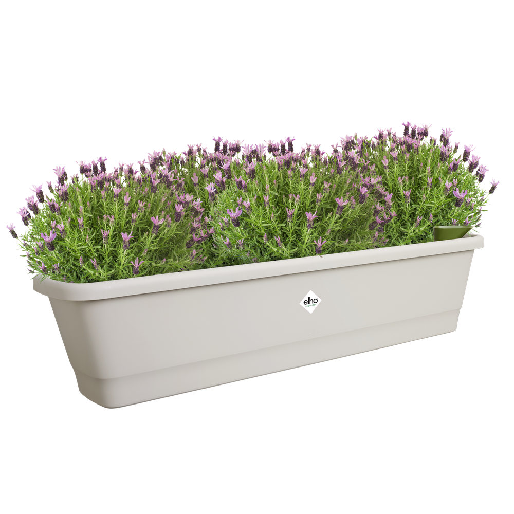 Noa Balconnière Xl