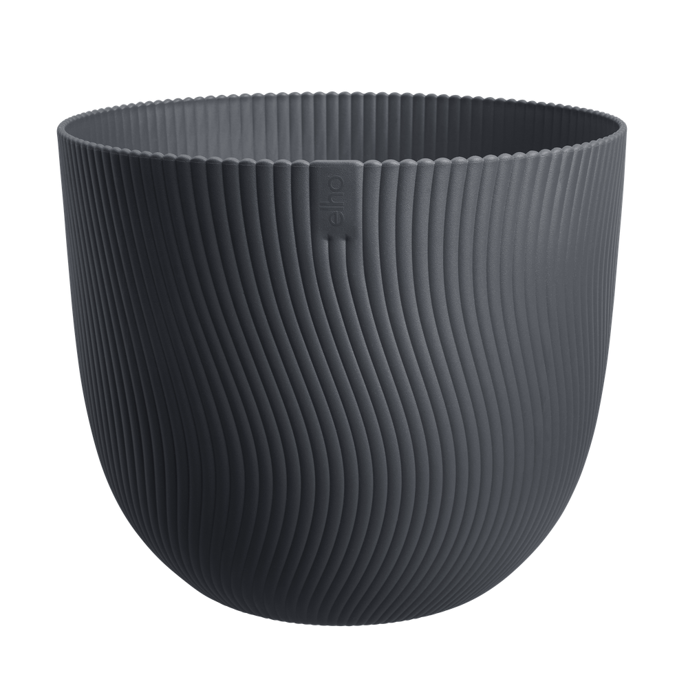 Sereh Rond 25