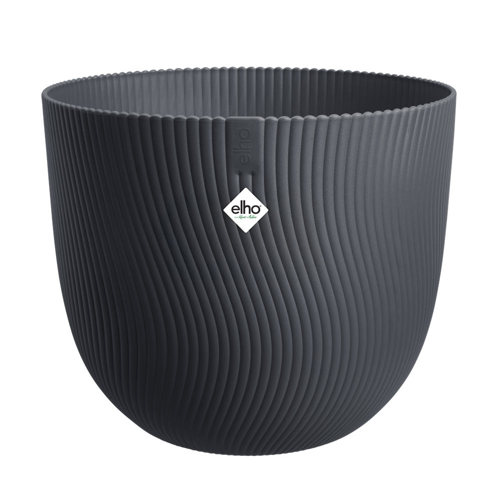 Sereh Rond 25