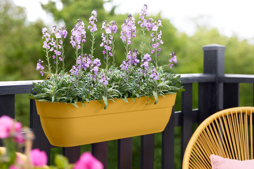 Vibia Campana Easy Hanger XXL 70