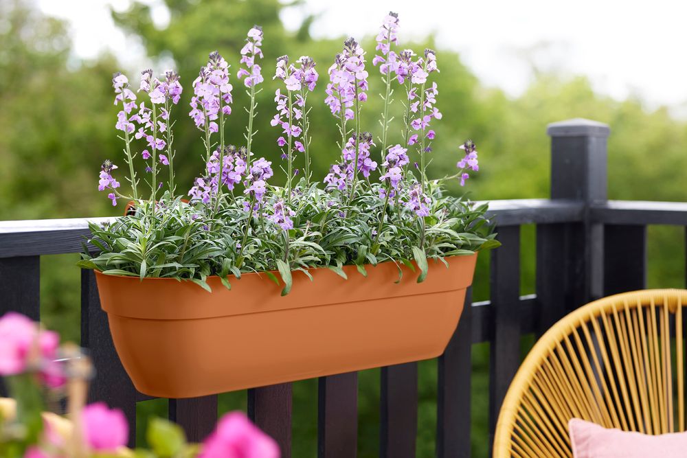 Vibia Campana Easy Hanger XXL 70