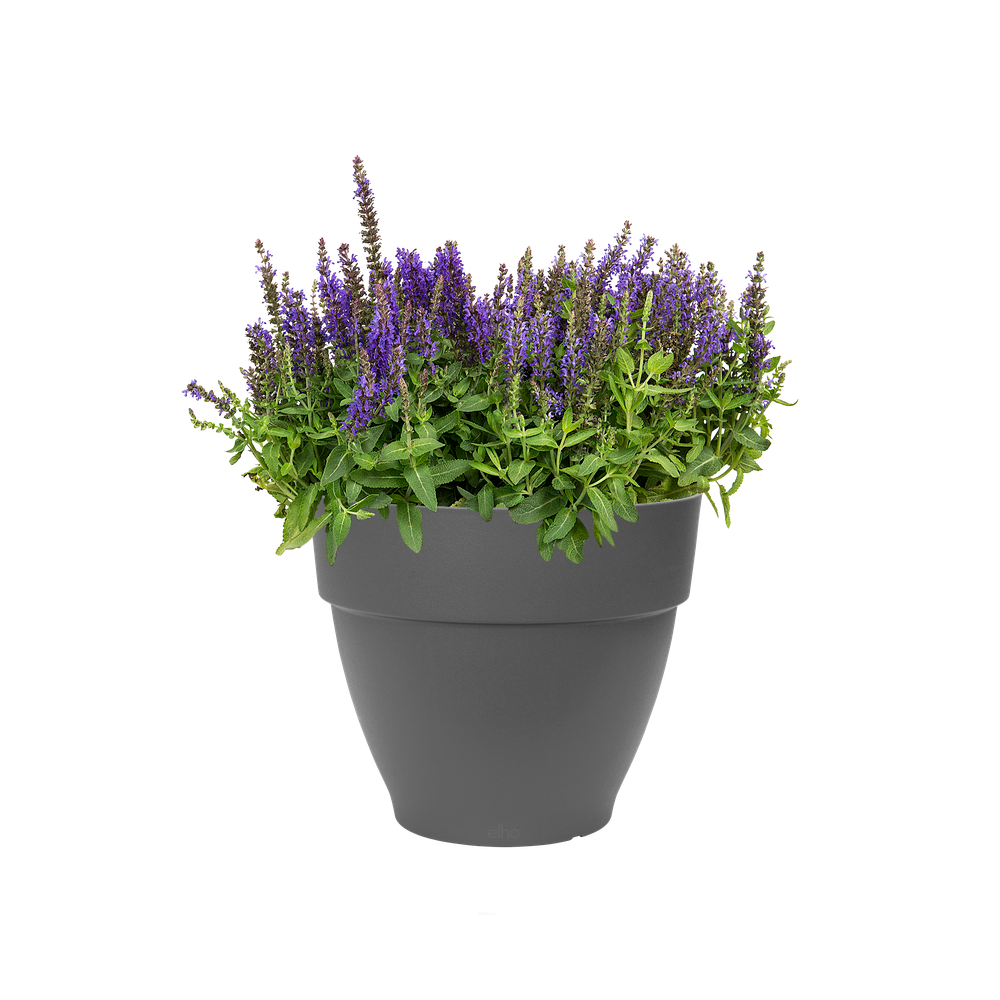 BNDL Vibia C. Rond 30 + Loft Sou. 21 X 2