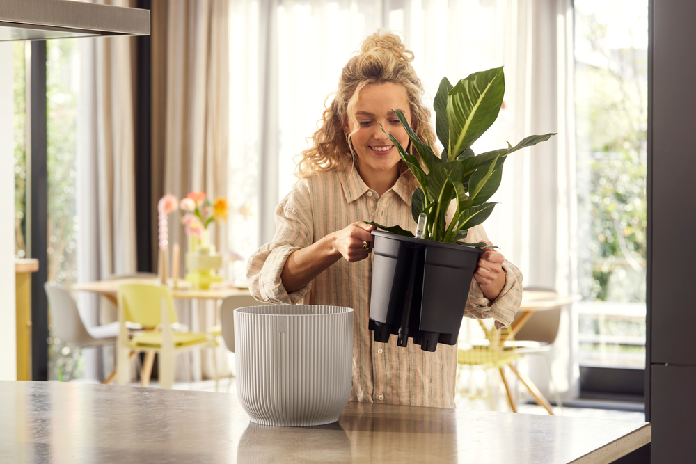 All-in-1 Vibes Rond 25 + Swi 24