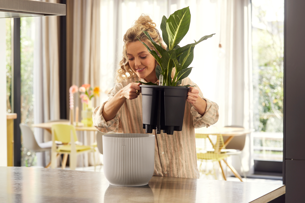 All-in-1 Vibes Rond 18 + Swi 17