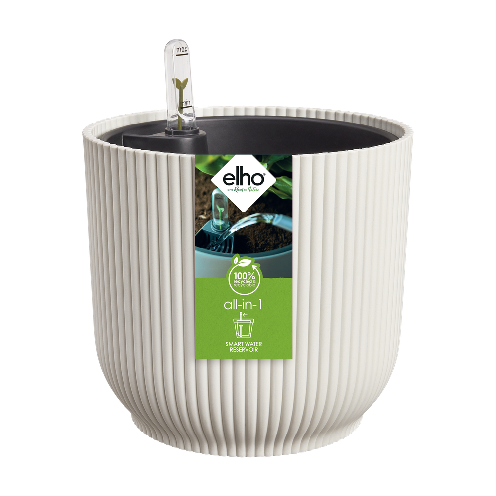 All-in-1 Vibes Rond 18 + Swi 17