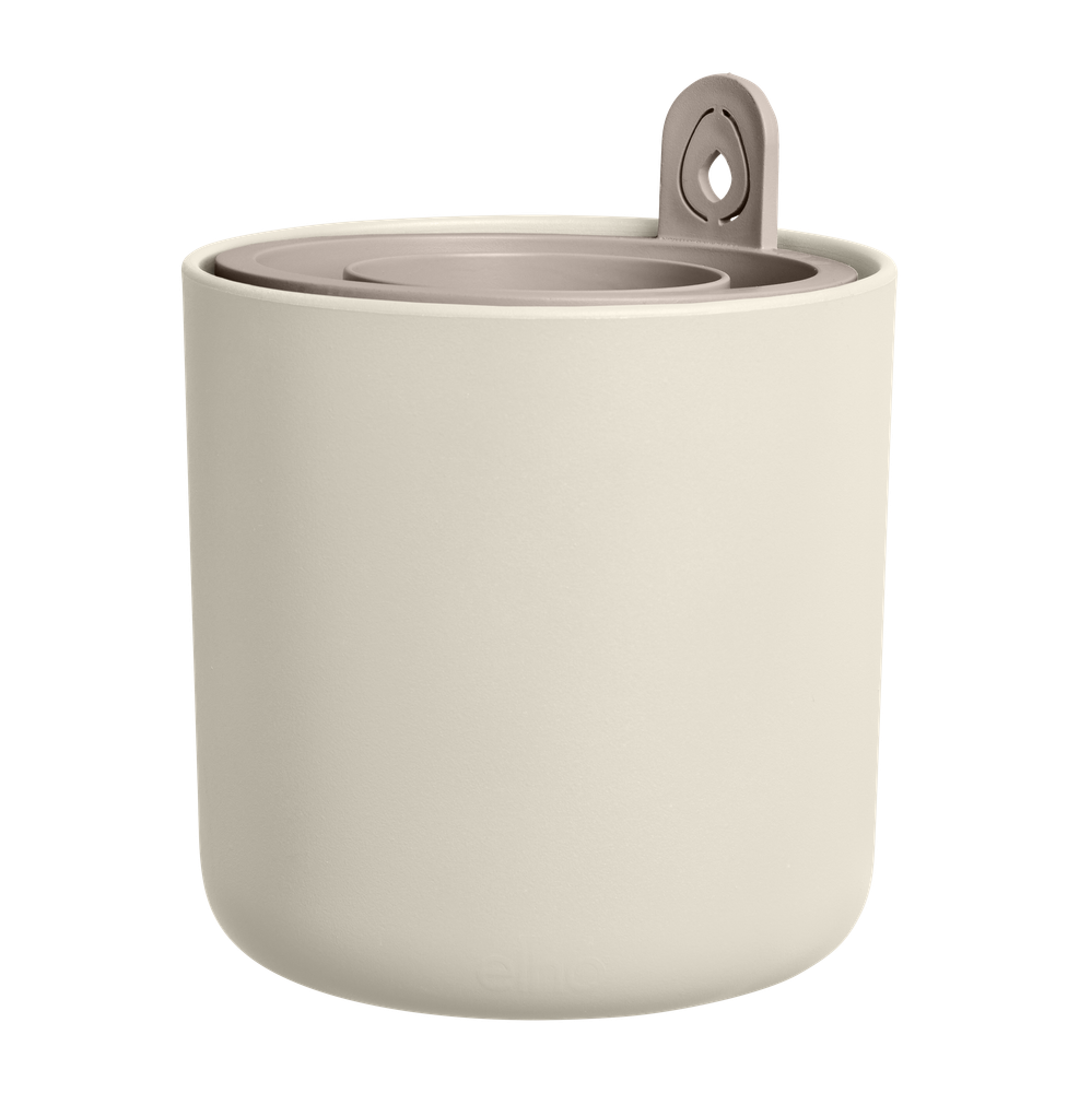 Amazing Avocado Pot