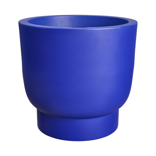 Amber Grail 30