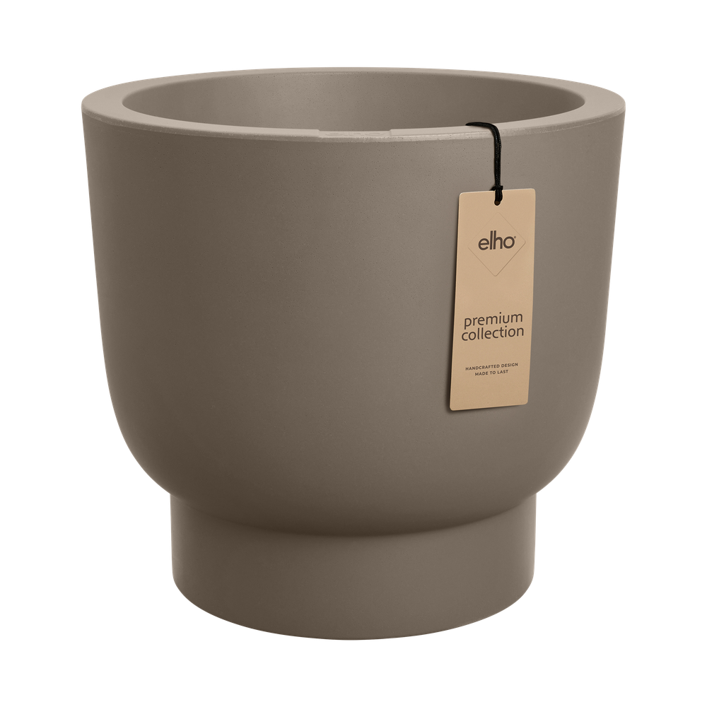 Amber Grail 30