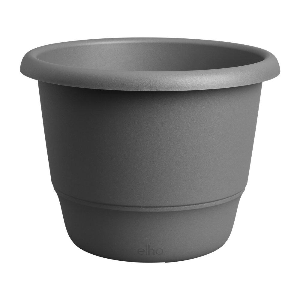 Amiga Rond 55