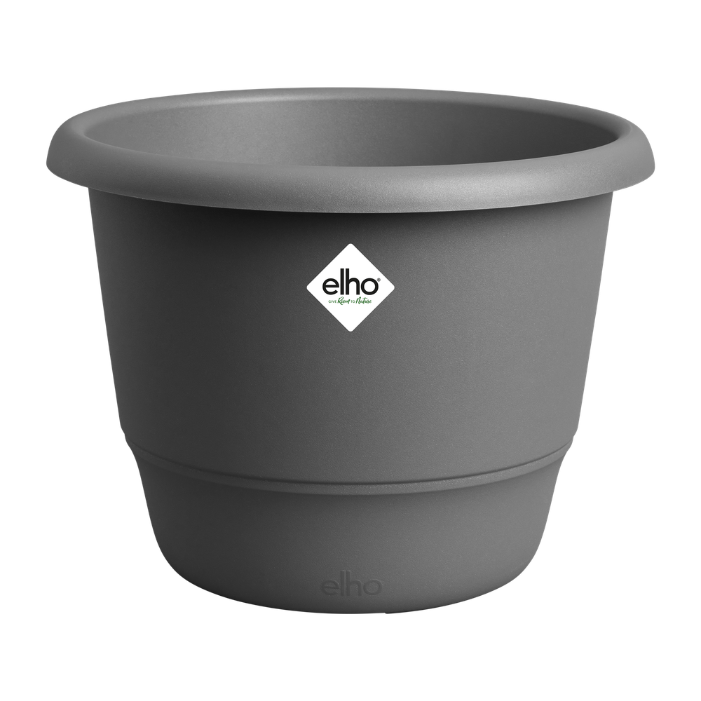 Amiga Rond 55