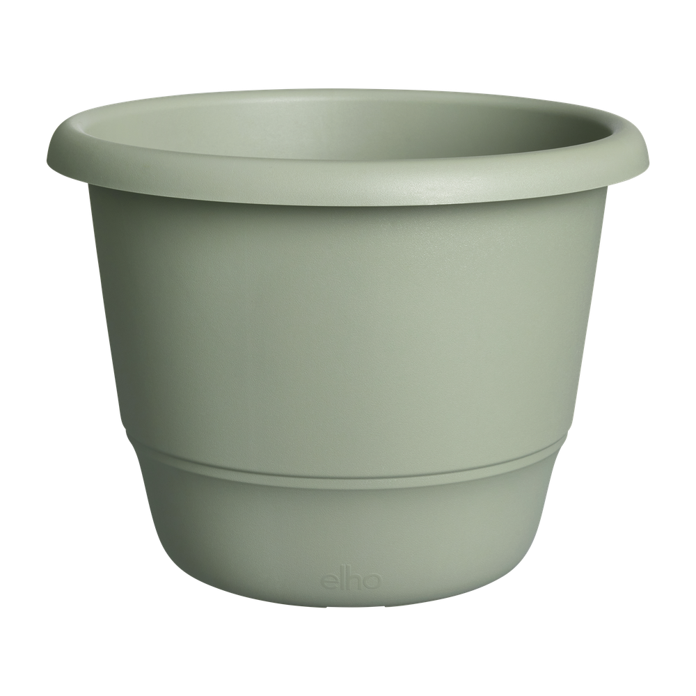 Amiga Rond 55