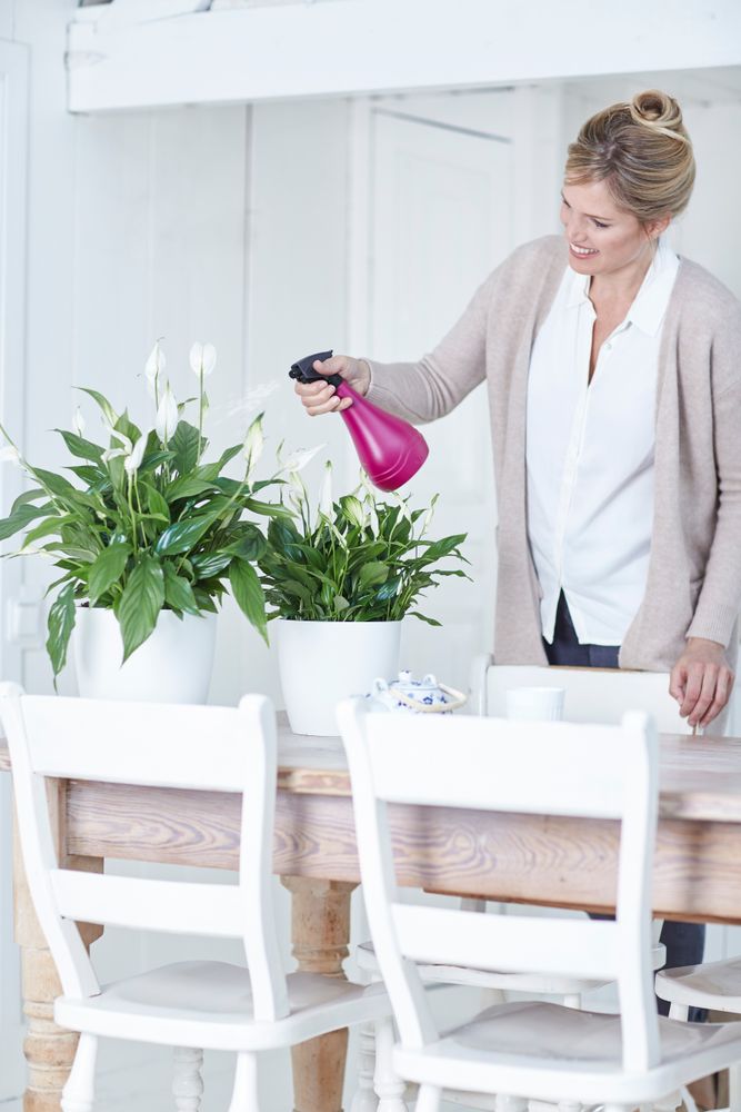 Aquarius Pulvérisateur 0,7ltr