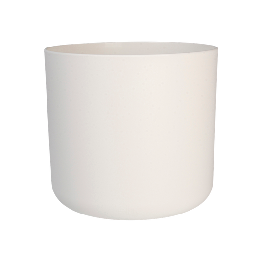B.for Soft Rond 25