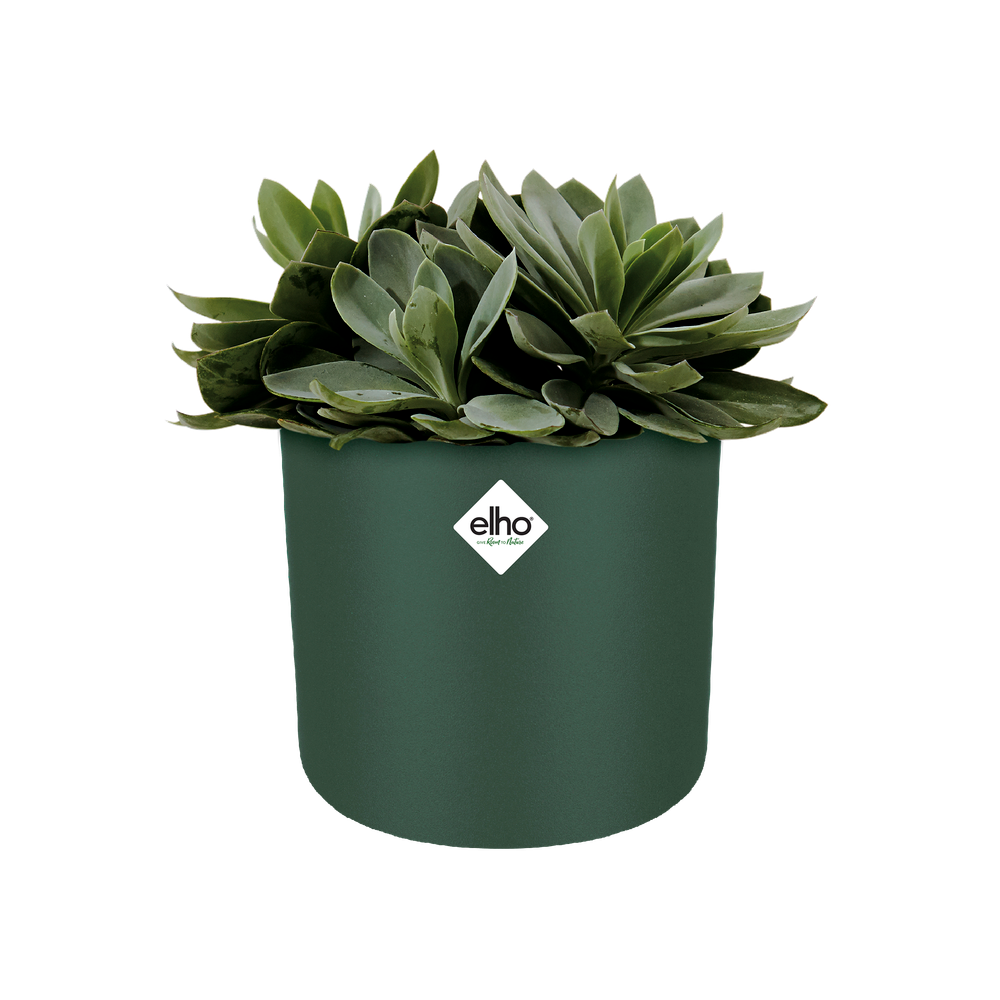 B.for Soft Rond 30