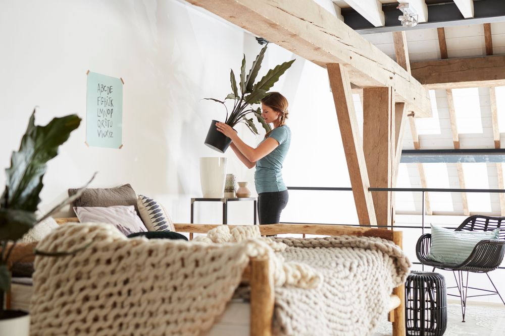 Brussels Diamond Haut Easy Insert 27