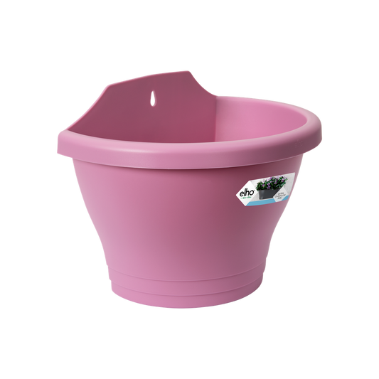 Corsica Mural 25