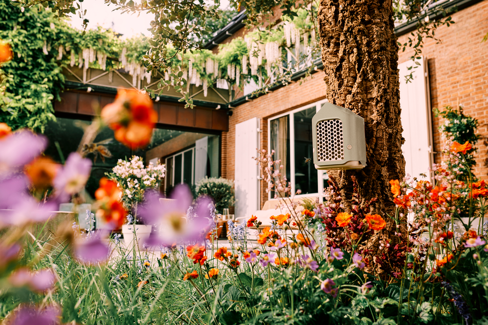 Cosy Hôtel Pour Insectes 18