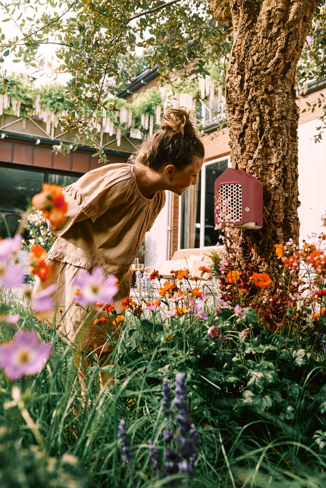 Cosy Hôtel Pour Insectes 18