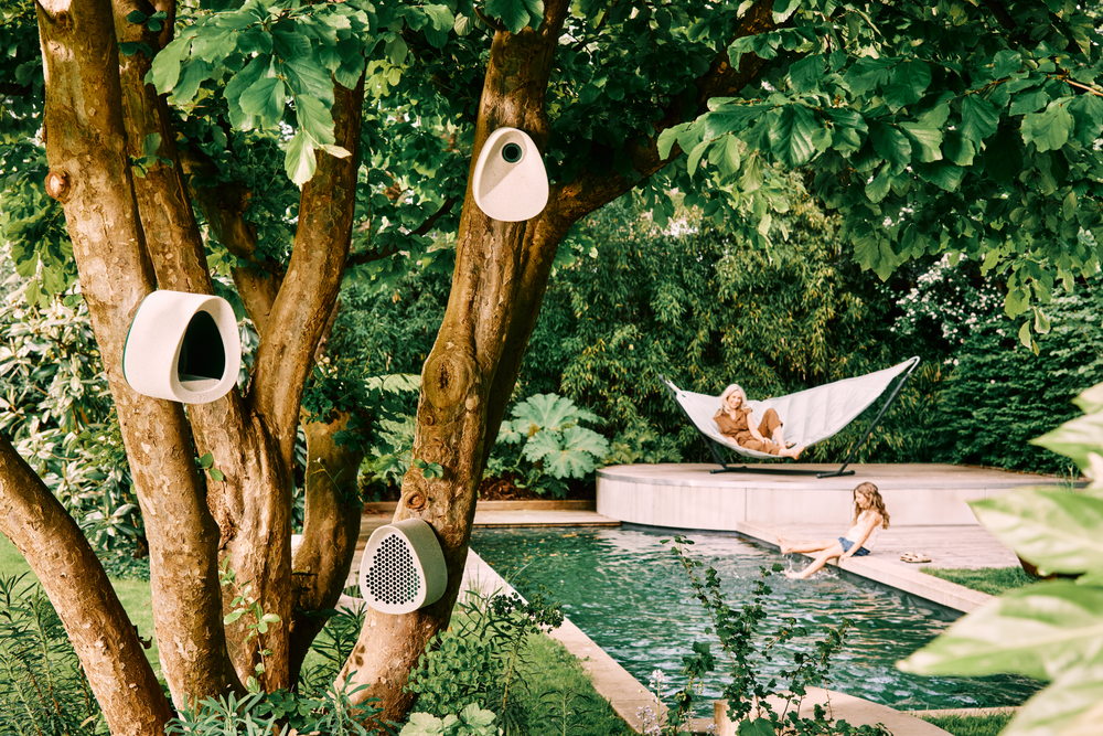 Essential Mangeoire Pour Oiseaux 18