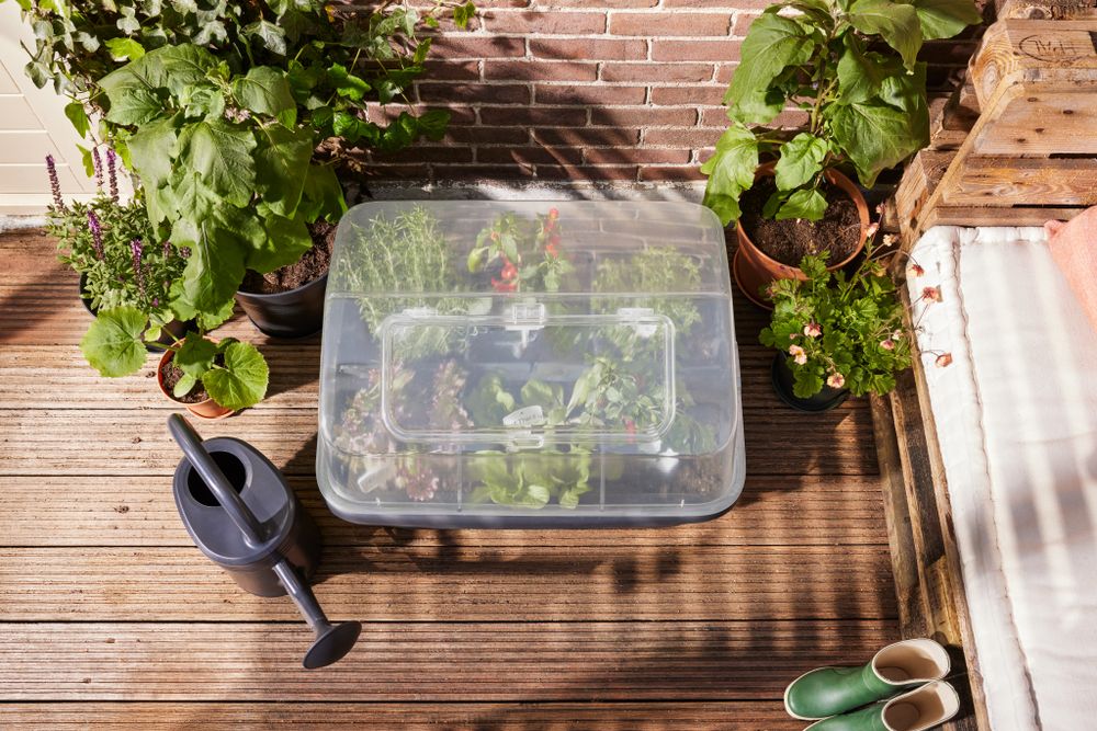 Green Basics Jardin De Culture Serre L