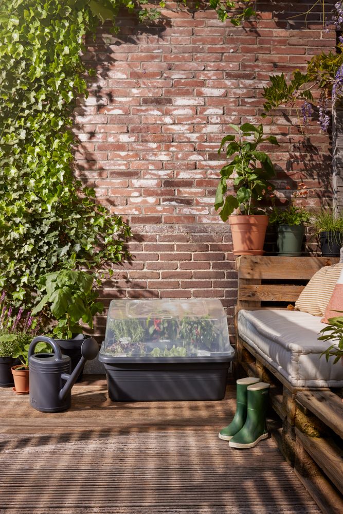 Green Basics Jardin De Culture Serre L