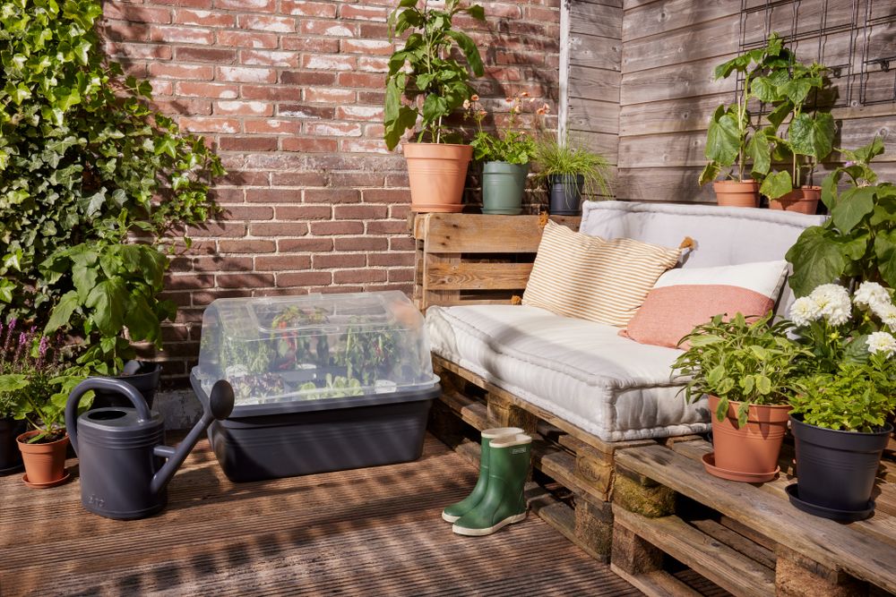 Green Basics Jardin De Culture Serre L