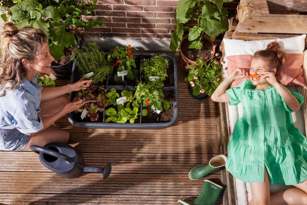 Green Basics Jardin De Culture L