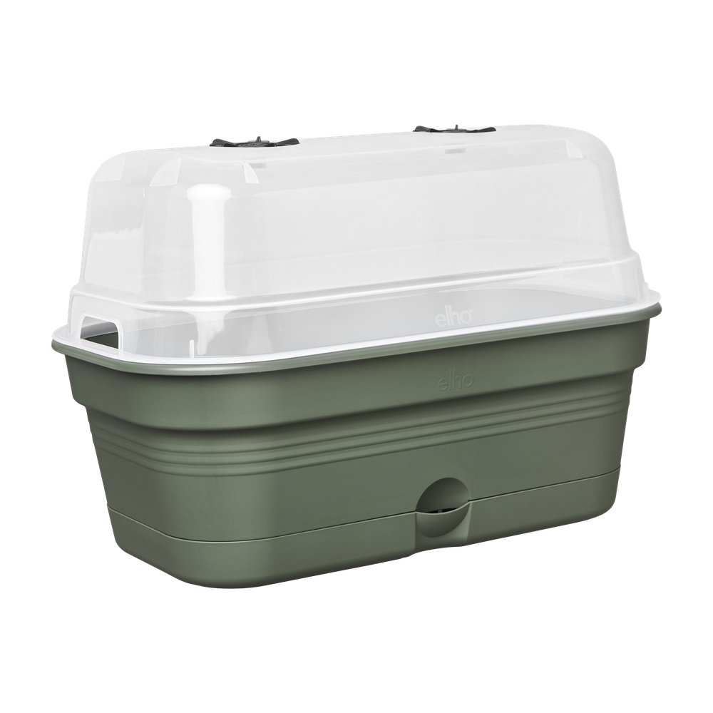 Green Basics Plateau De Culture Allin1 M