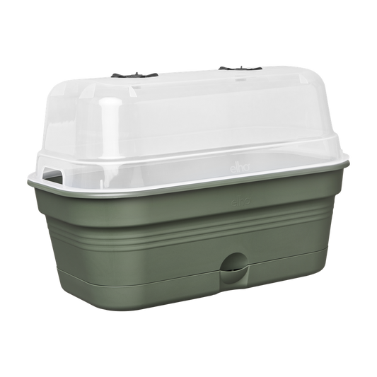 Green Basics Plateau De Culture Allin1 M