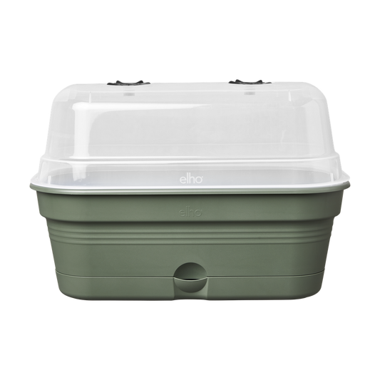 Green Basics Plateau De Culture Allin1 L