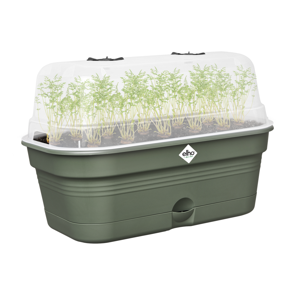 Green Basics Plateau De Culture Allin1 L