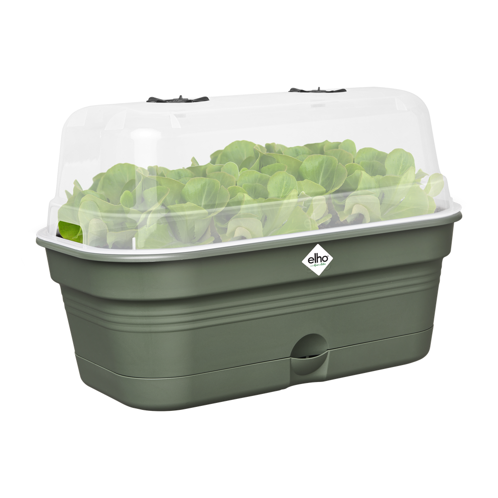 Green Basics Plateau De Culture Allin1 L