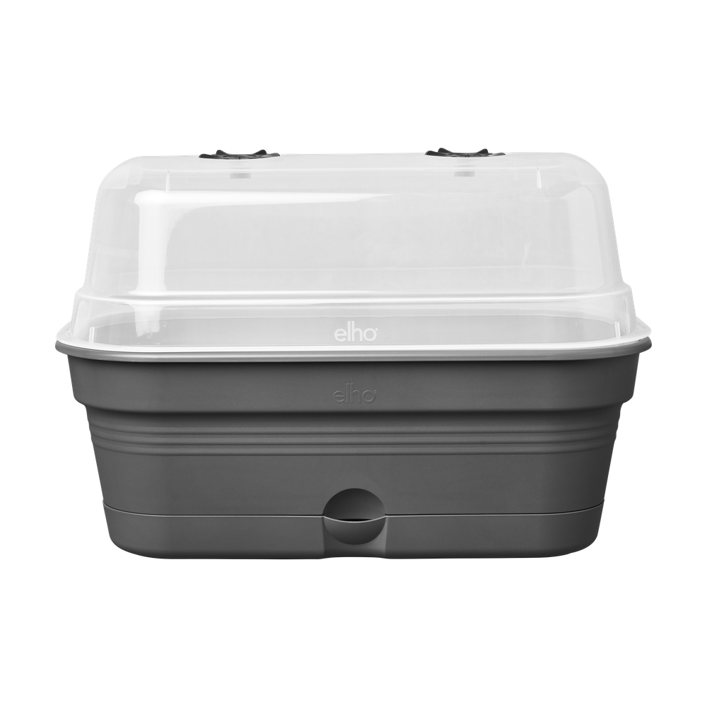 Green Basics Plateau De Culture Allin1 L