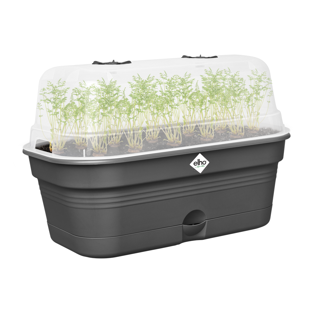Green Basics Plateau De Culture Allin1 L